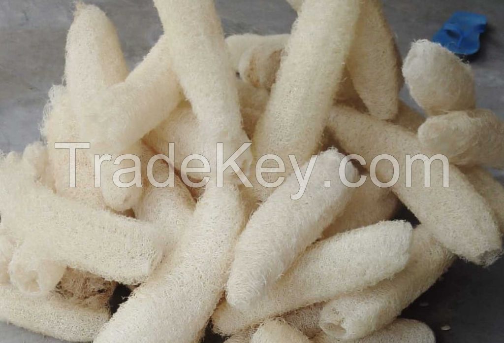 Whole dried loofah sponge