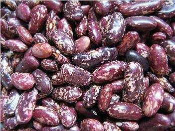 Red speckled kidney beans(Purple speckled kidney beans)