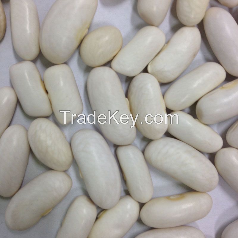 white kidney beans (Japanese type)