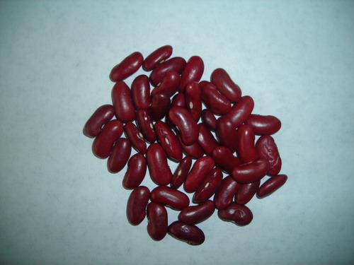 uk red kidney beans
