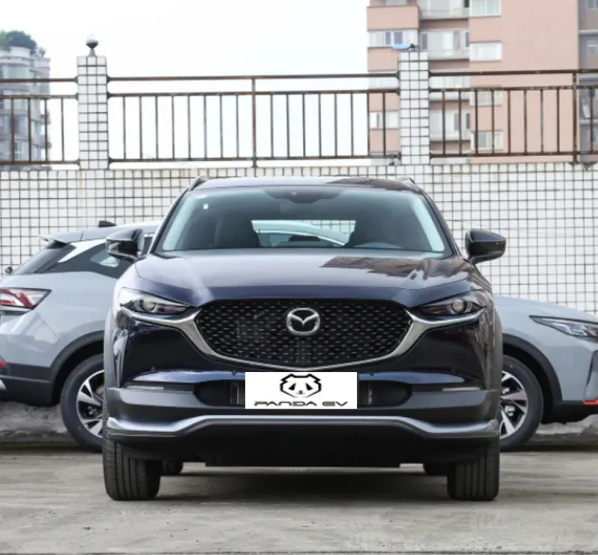  Cx-30 Ev Car New Energy Vehicle In China Electric Car 450km Max Speed New And Used Car For Sale In China