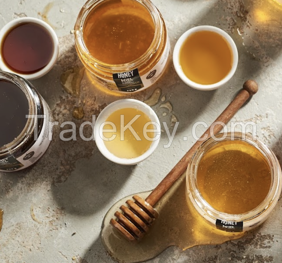 Natural Sunflower Honey (finish product / in bulk) Royal Honey