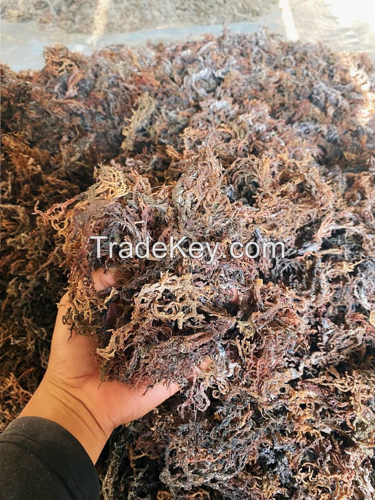 dried seaweed