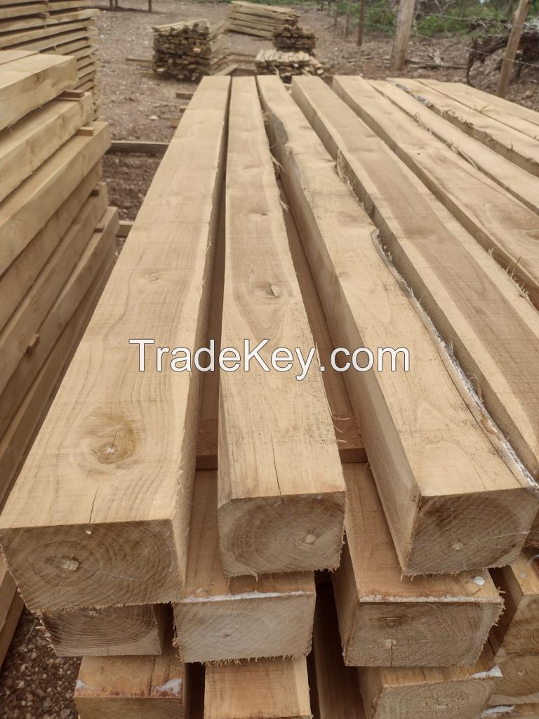 Teak Blocks and Lumber