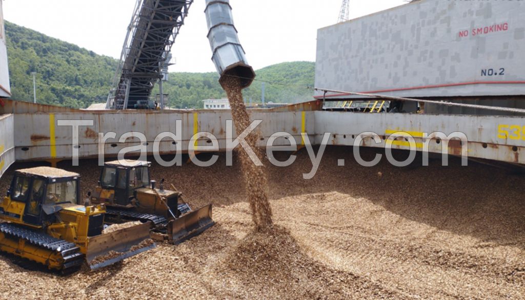 Viet Nam wood chips for paper making
