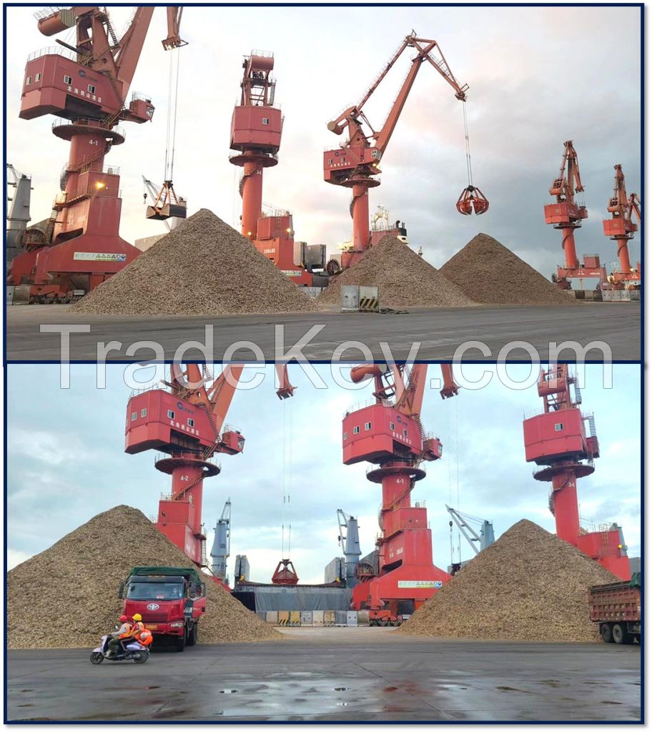 Viet Nam wood chips for paper making
