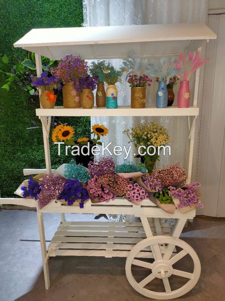 China Fir 3-floors Solid Wood Flower Decor Display Cart