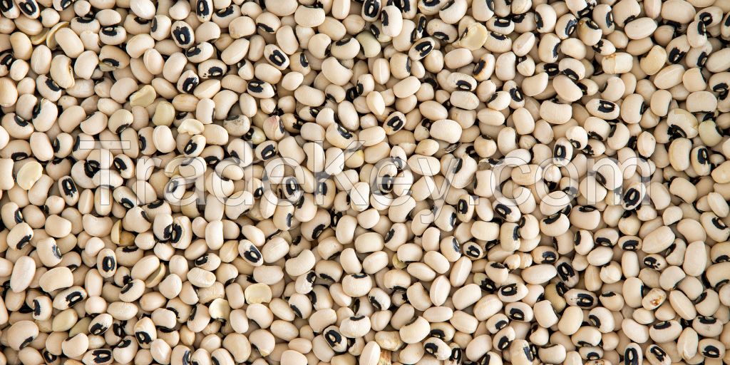 Black Eyed Beans/Cowpea Beans