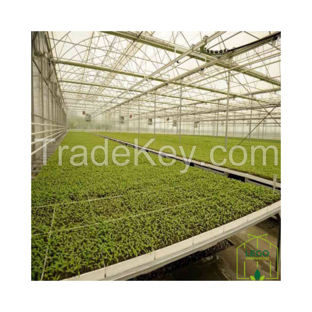 Seedling Greenhouse