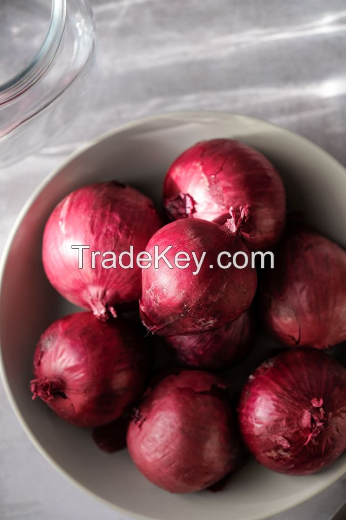 Fresh Onion Red & White ( Organic )