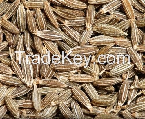 Cumin Seed