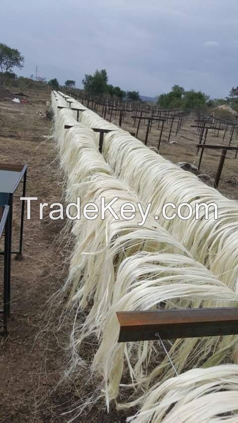 Buy Sisal Fiber Ug / Ssug Grades