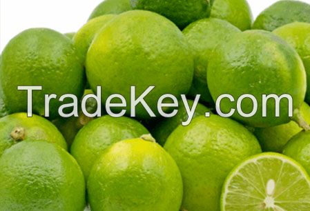 Green lemon Viet nam