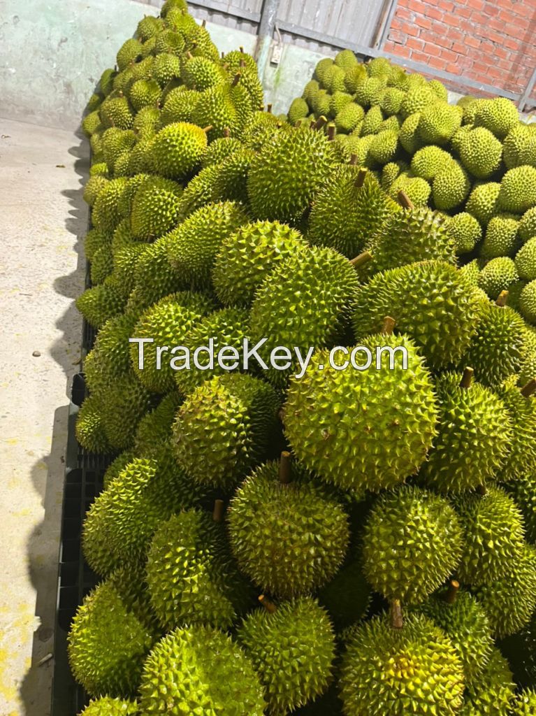 Frozen durian