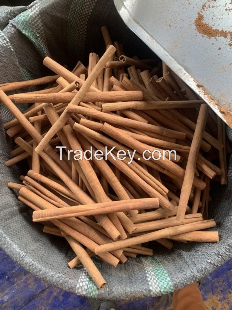 Stick organic cinnamon