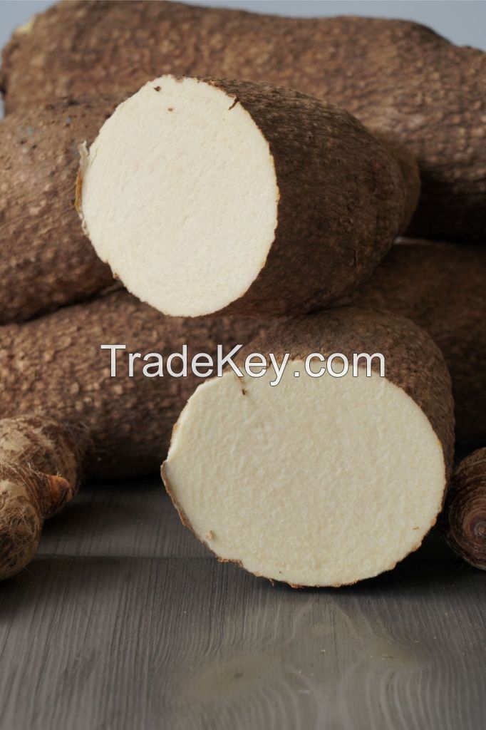 African yam