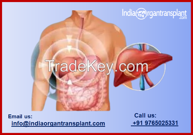 Top 12 Liver Transplant Surgeons of India