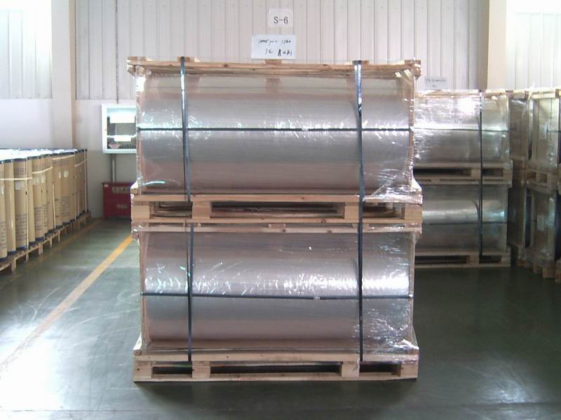 Polyester film (Hard Rigid)