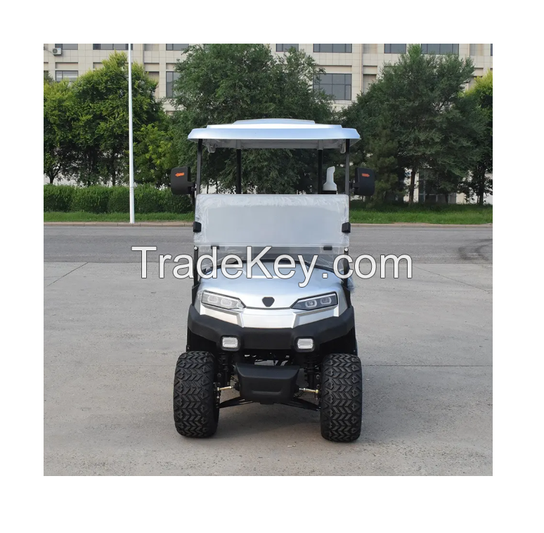 ZYCAR 2 Seat Electric Golf Cart Buggy Custom Golf Push Carts Wholesale Simple EEC Approved