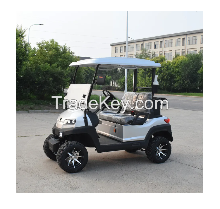 ZYCAR 2 Seat Electric Golf Cart Buggy Custom Golf Push Carts Wholesale Simple EEC Approved 
