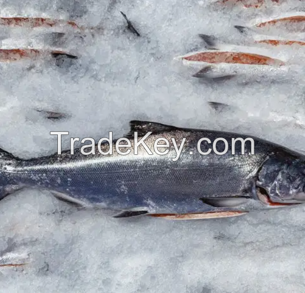 Frozen salmon fish Norway seafood fillet portions loins steaks slices private label for wholesale