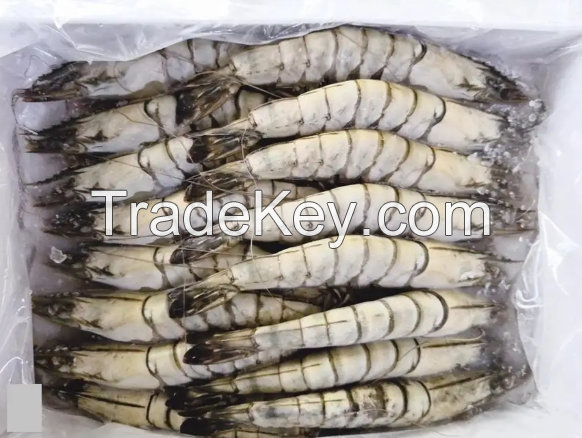 Frozen Tiger Prawns 26/30 (800gm Per Pack) Wholesale Suppliers Prawns Shrimps Black Tiger Vannamies Shrimp/ Frozen Red Prawns