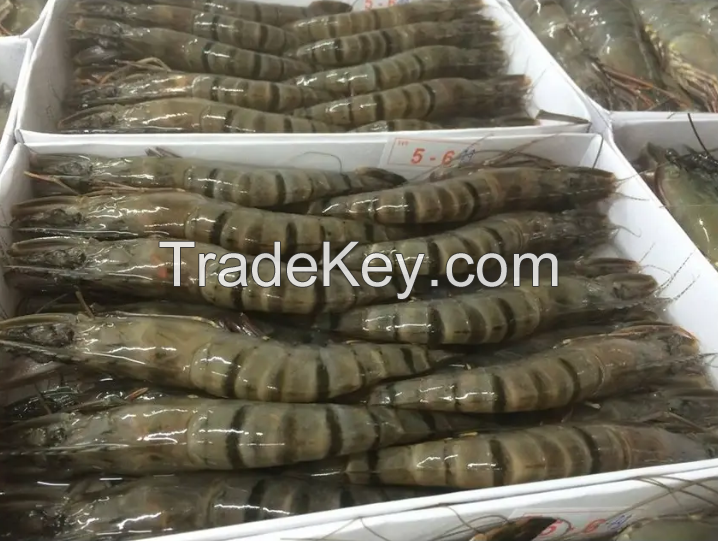 Frozen Tiger Prawns 26/30 (800gm per pack) Wholesale Suppliers Prawns Shrimps Black Tiger Vannamies Shrimp/ Frozen red Prawns