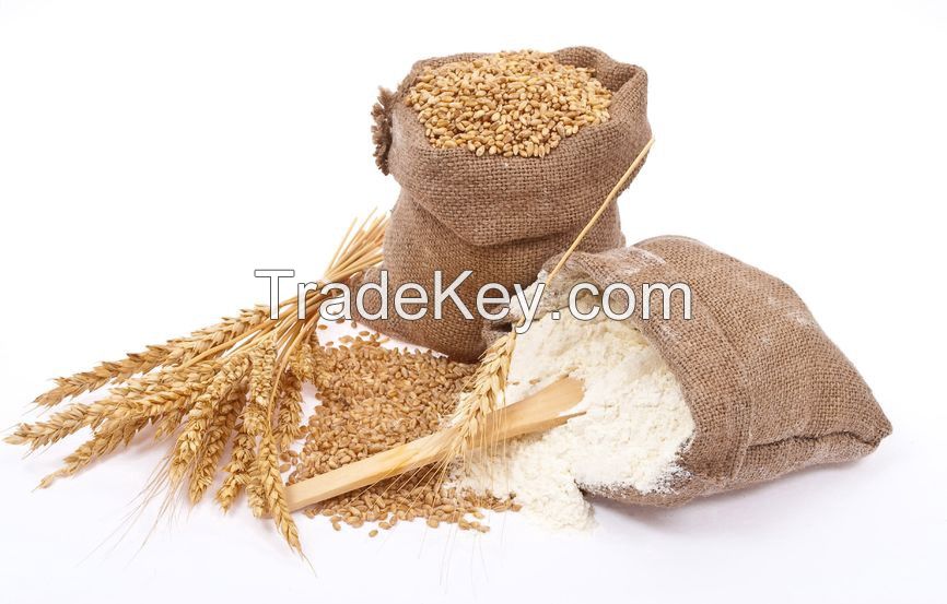 wheat flour / sunflower oil / barley 