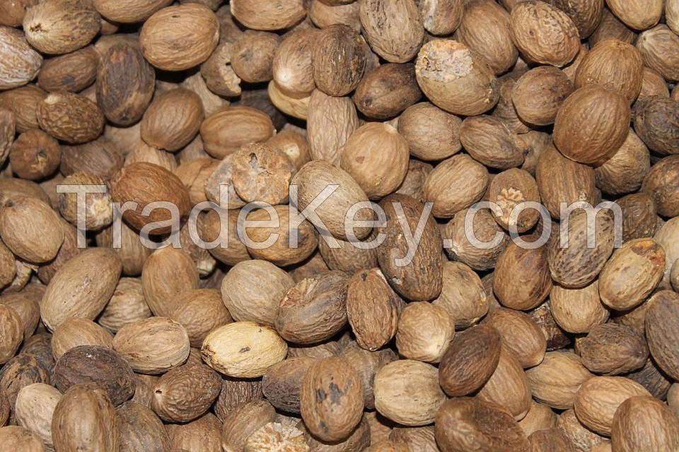 Nutmeg Oil, Direct from Farmer-Indonesia