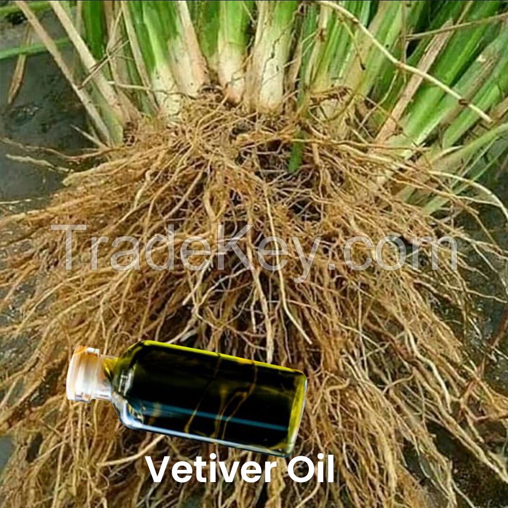 Vetiver oil, Direct from Farmer-Indonesia