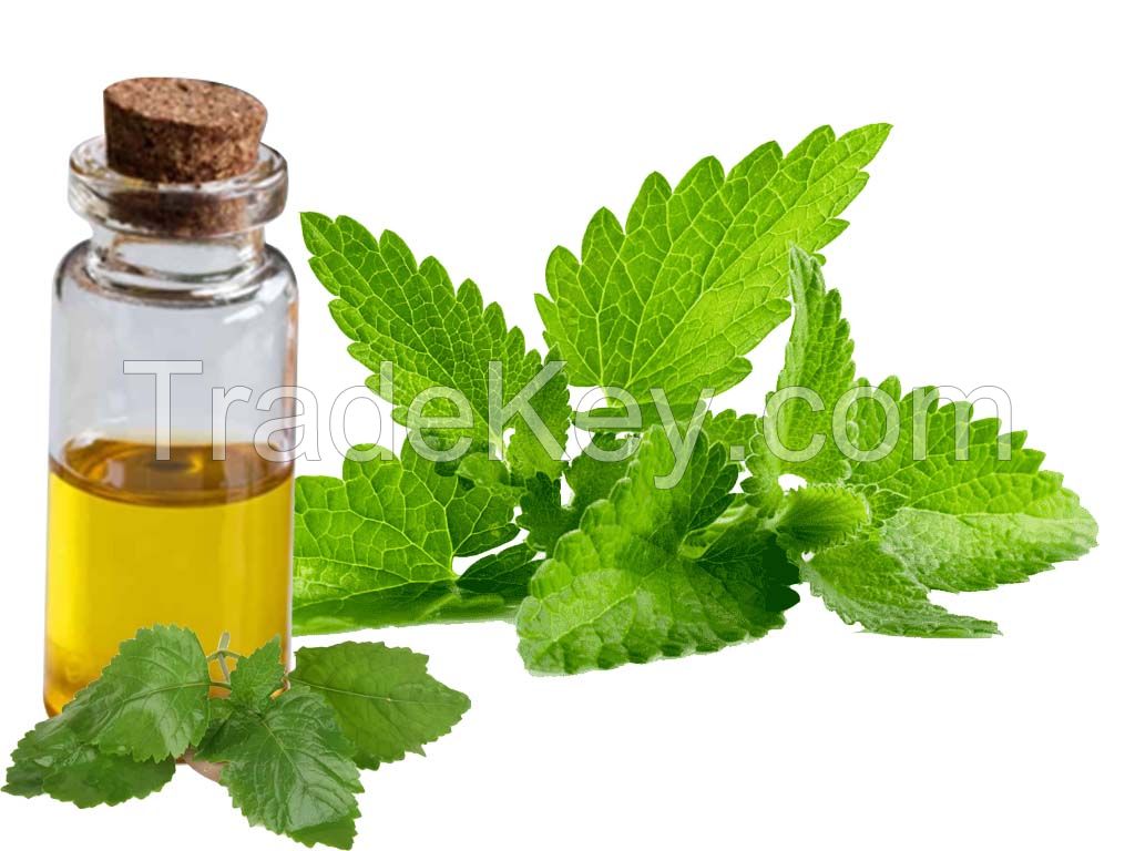 Patchouli Oil, Direct from Farmer-Indonesia
