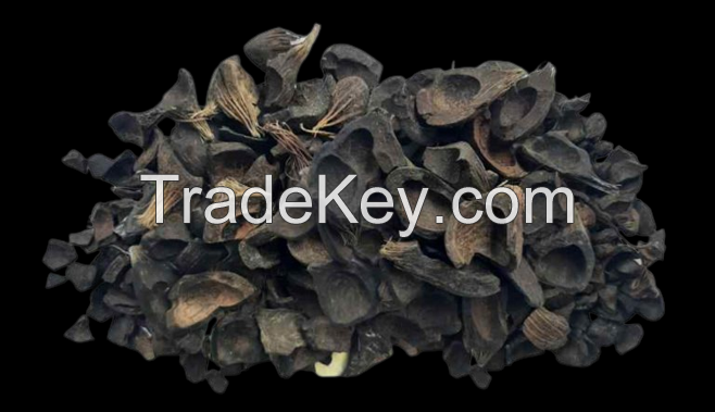 Palm Kernel Shell