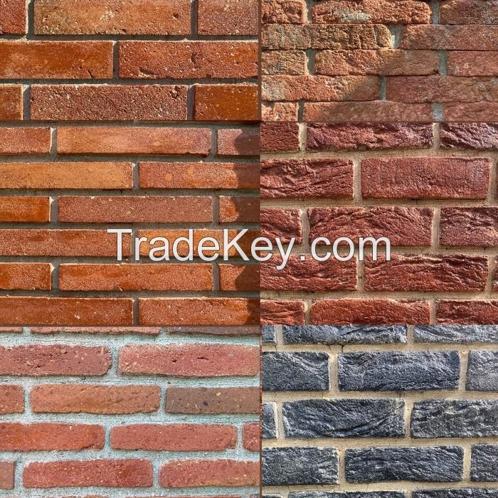 Natural Clay Brick For Interior And Exterior Face Cladding