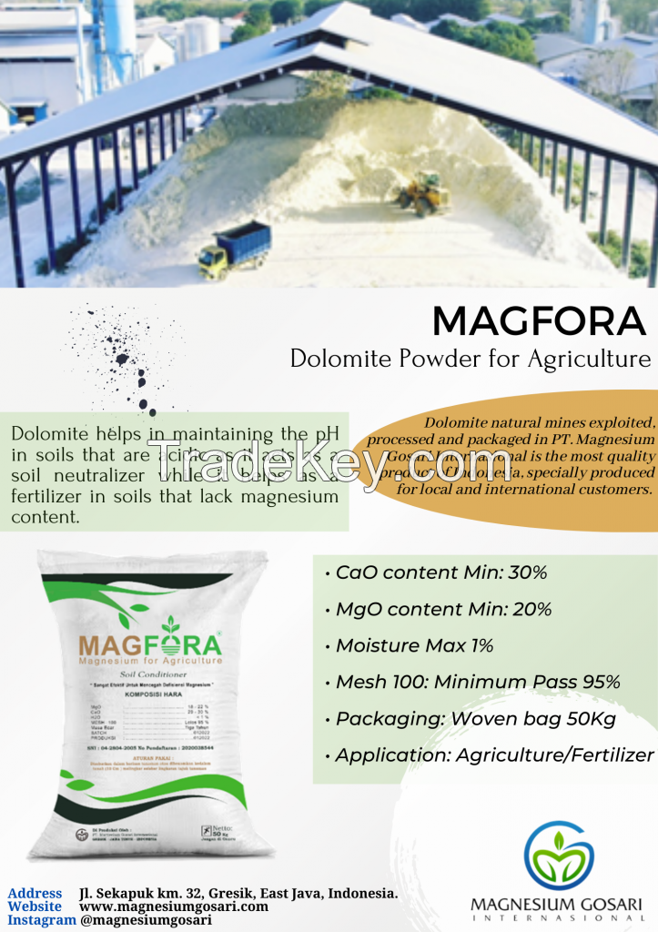 Dolomite Powder