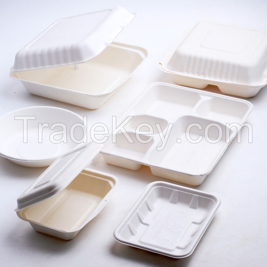 Bagasse Food Container Box Biodegradable