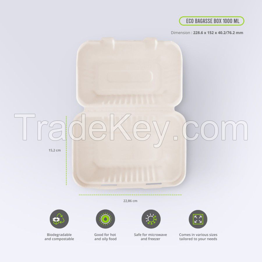 Bagasse Food Container Box Biodegradable