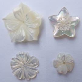 seashell jewellery