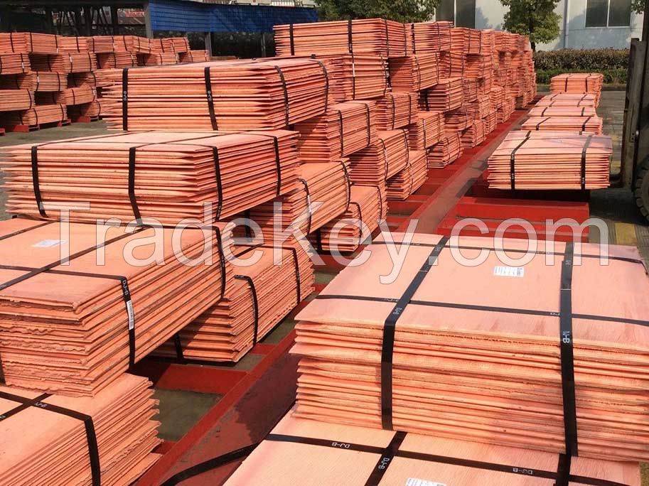 Copper Cathodes