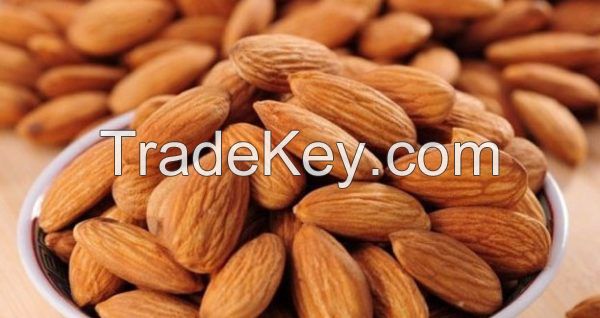 Natural Almond Premium Pure Quality Nuts - Badam Nonpareil