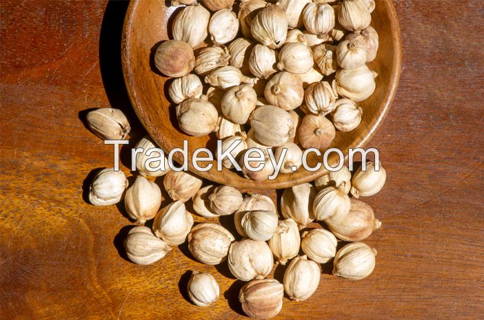 Cardamoms Spices