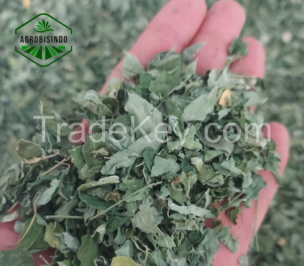 Moringa Leaves dried Premium Quality +62812 8009 9571