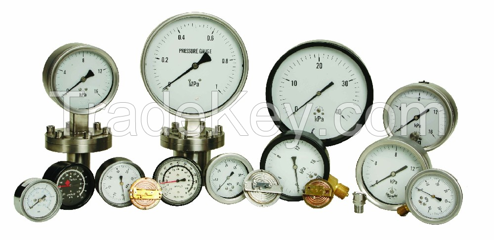 Ma 'anshan Eagle Eye Instrument Co., Ltd , pressure gauges top 10 supplier in China