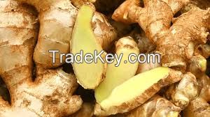 Dried and Fresh Ginger