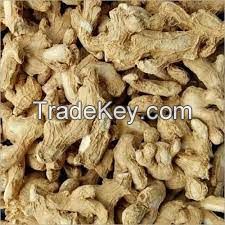 Dried and Fresh Ginger