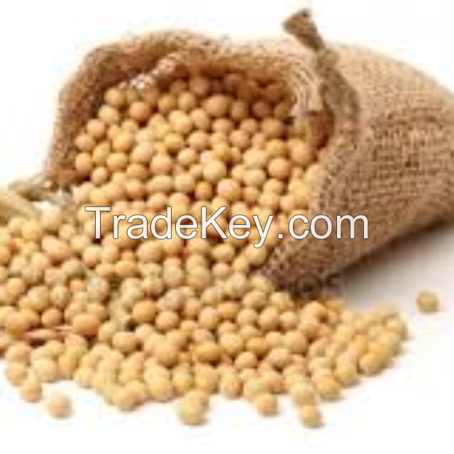 Soybeans 