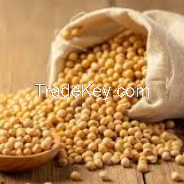 Soybean meal 