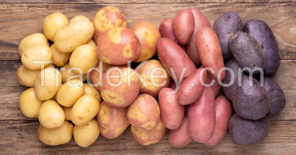 Ã¢ï¿½ï¿½ Quality Fresh Irish Potatoes