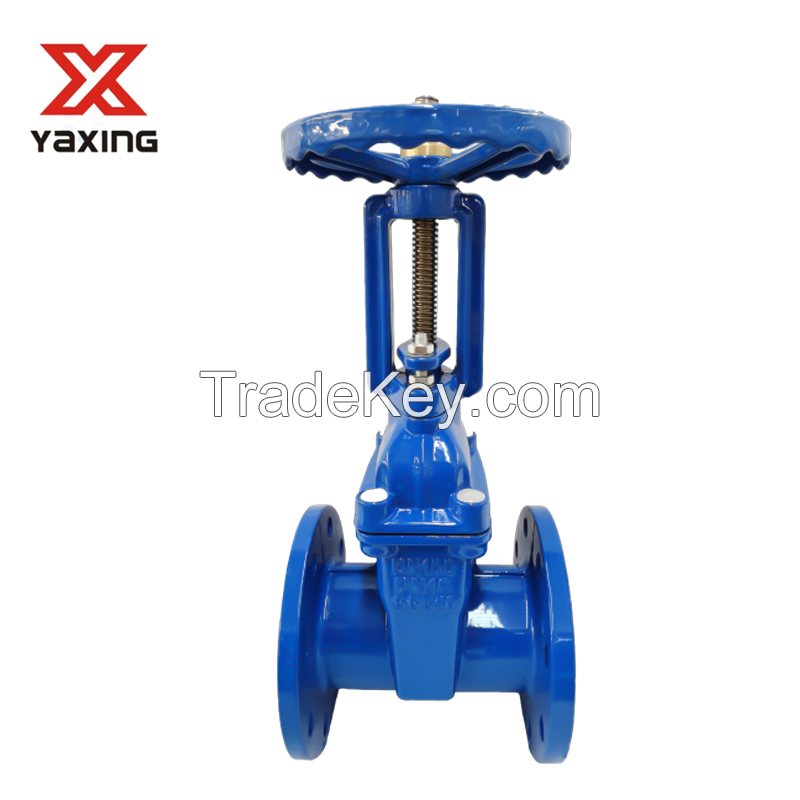 RISING STEM RESILIENT SEATED GATE VALVE BS5163 DN40-DN600