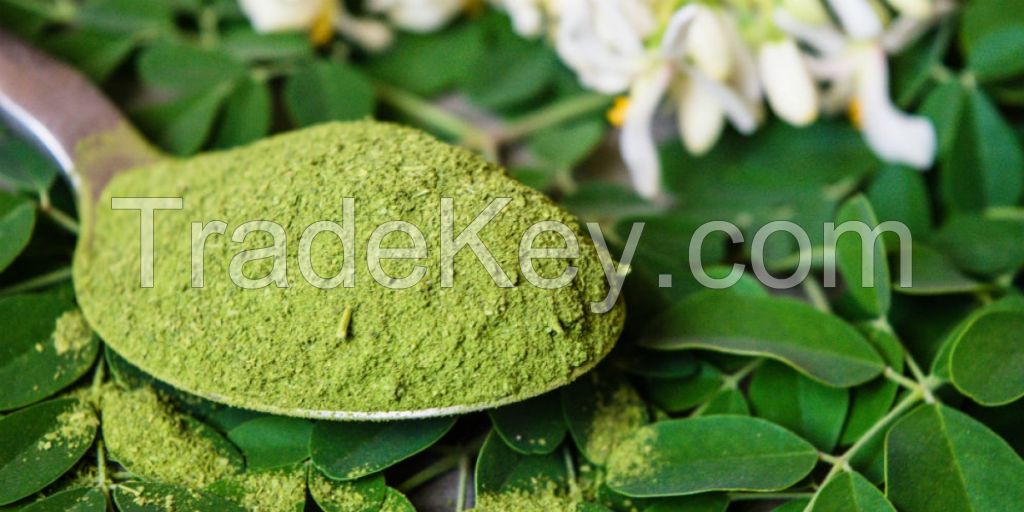 Moringa Powder