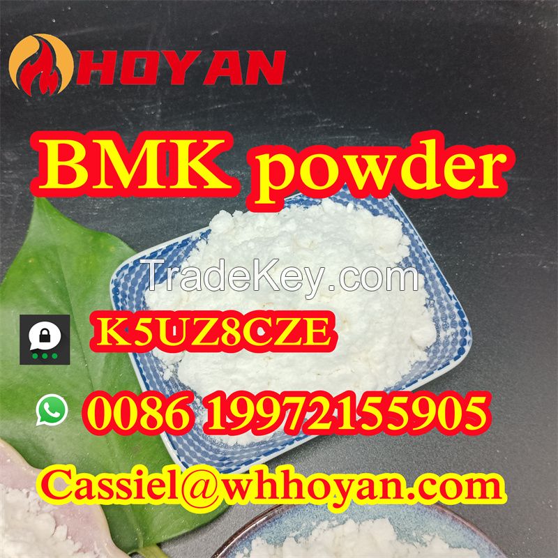 BMK powder CAS 5449-12-7 top supplier